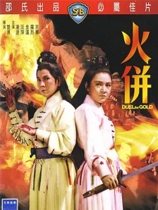 姐夫2